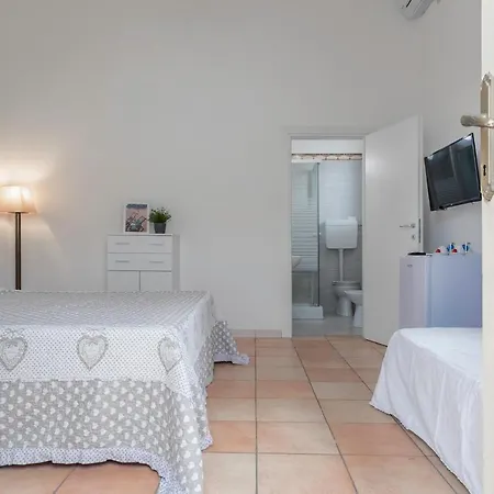 Saporedimare - Fronte Mare - Narramondo * トルトレート